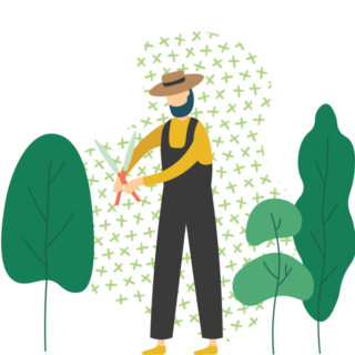 Godon Tree Care photo 7